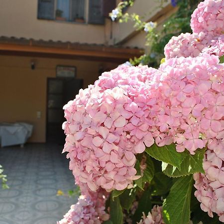 Hotel La Pineta Arborea Exterior photo